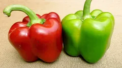 Rosso o verde: quale varietà di peperone è più salutare e in cosa differiscono le loro proprietà nutrizionali?