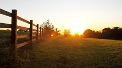 La storia del perché una madre e una figlia hanno rifiutato un’offerta da 26 milioni di dollari per il loro terreno