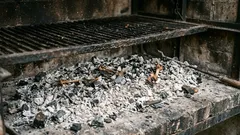 Prima di buttare via la cenere del barbecue, scopri 3 modi utili in cui può tornarti utile.