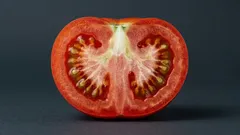 Parte centrale bianca e dura nei pomodori: perché compare e si può coltivare il frutto perfetto senza?